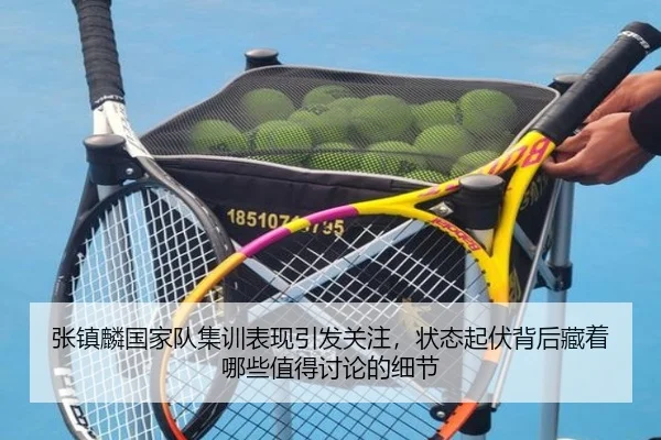 张镇麟国家队集训表现引发关注，状态起伏背后藏着哪些值得讨论的细节